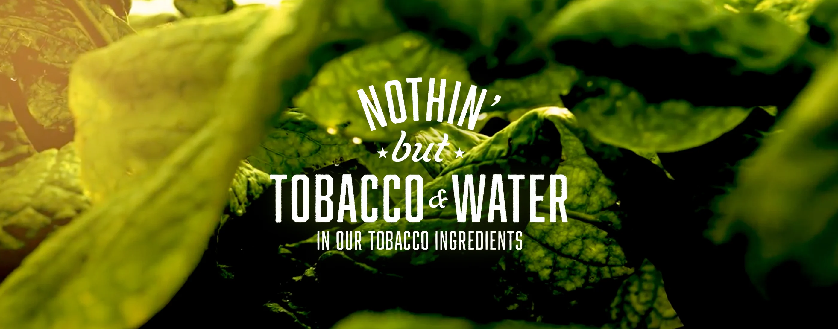 Nothin' but tobacco and water in our tobacco ingredients